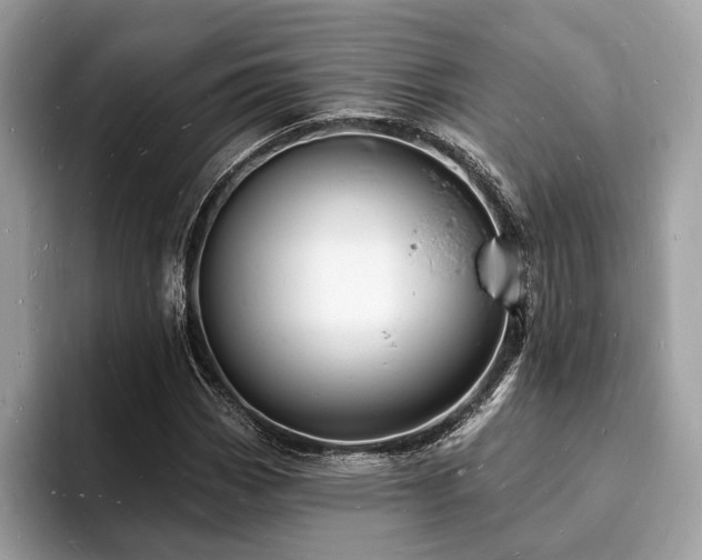 X0000093721113200710161053