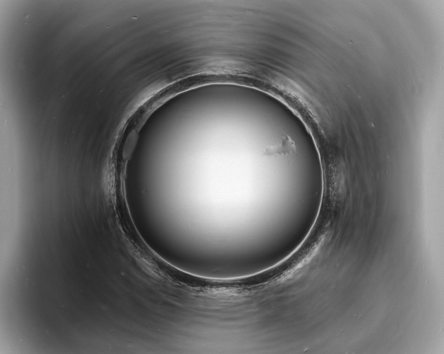 X0000093721114200710161053