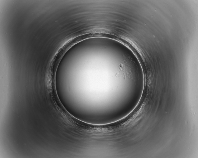 X0000093721115200710161053