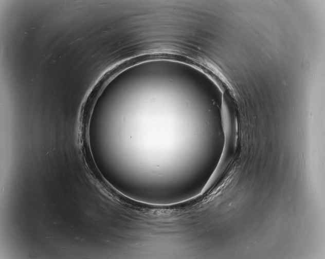 X0000093721116200710161053