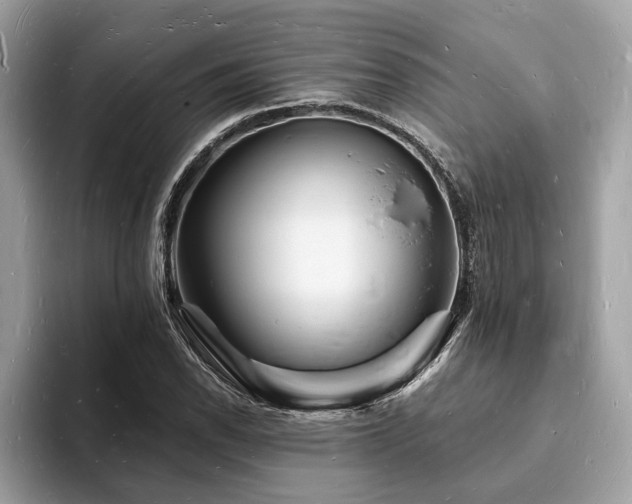 X0000093721118200710161053