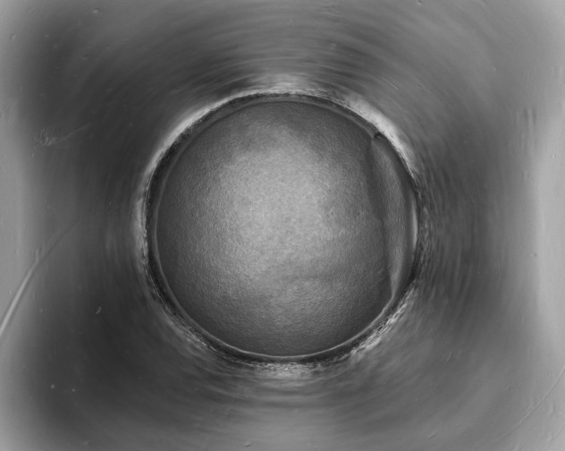X0000093721120200710161053
