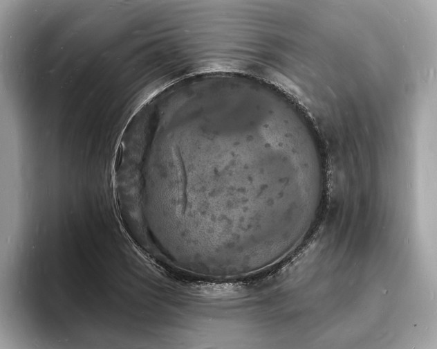 X0000093721121200710161053