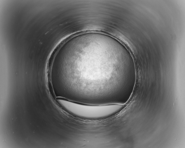 X0000093721124200710161053