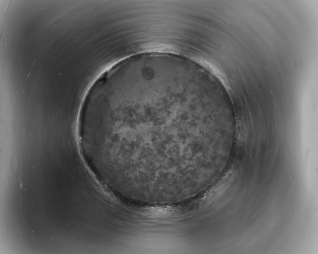 X0000093721125200710161053