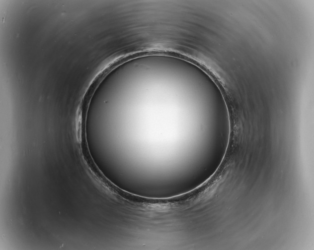 X0000093721126200710161053