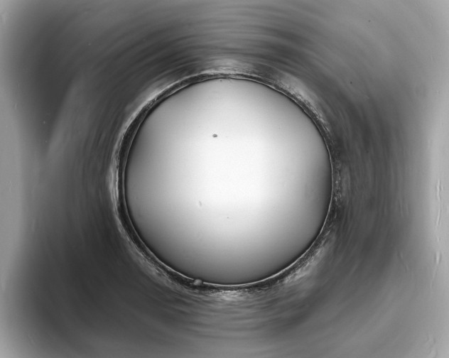 X0000093721130200710161053
