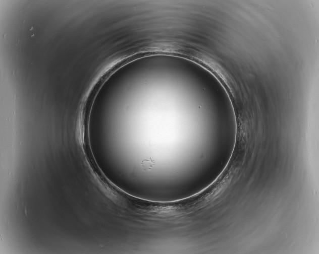 X0000093721131200710161053