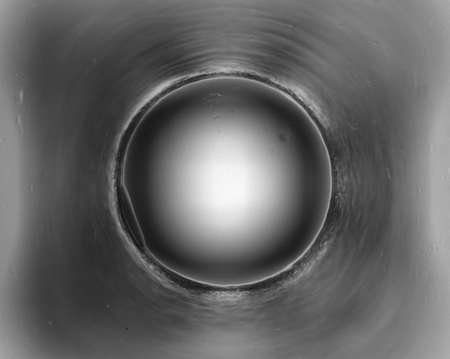 X0000093721134200710161053