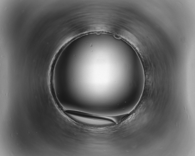 X0000093721135200710161053