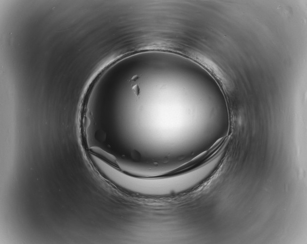 X0000093721138200710161053