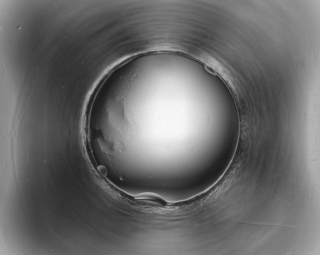 X0000093721140200710161054