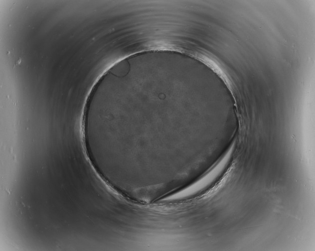 X0000093721141200710161054