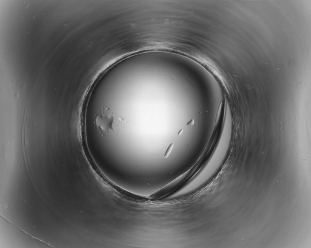 X0000093721143200710161054