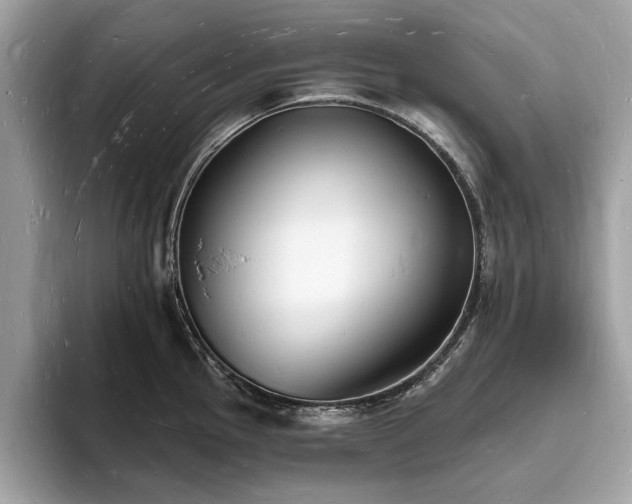 X0000093721145200710161054