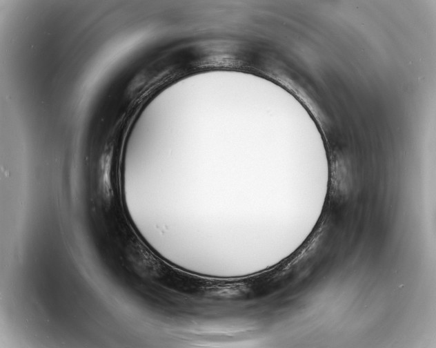 X0000093721150200710161054