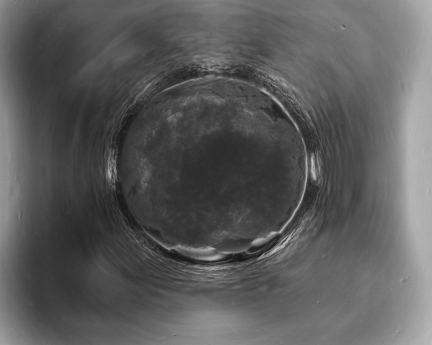 X0000093721155200710161053