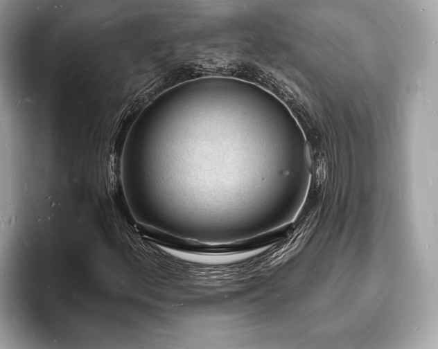 X0000093721156200710161053