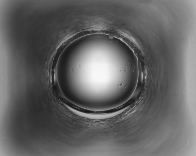 X0000093721160200710161053