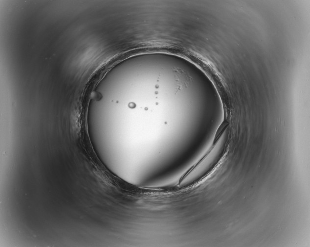 X0000093721163200710161053