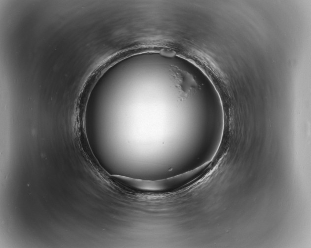 X0000093721164200710161053