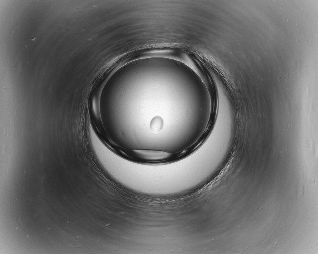 X0000093721169200710161053