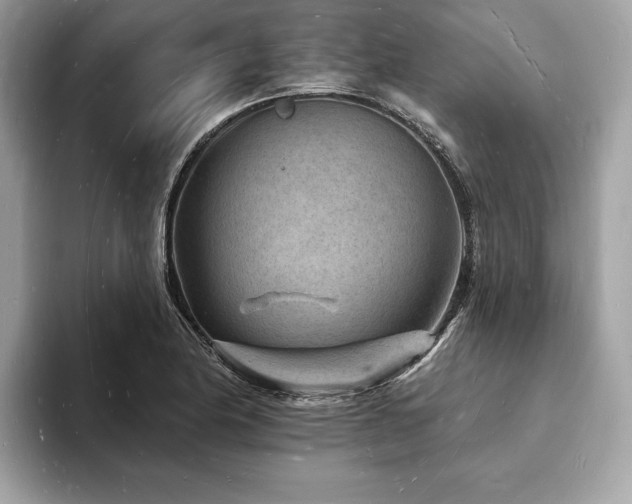 X0000093721174200710161053