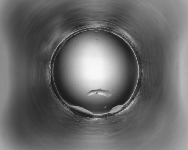 X0000093721178200710161053