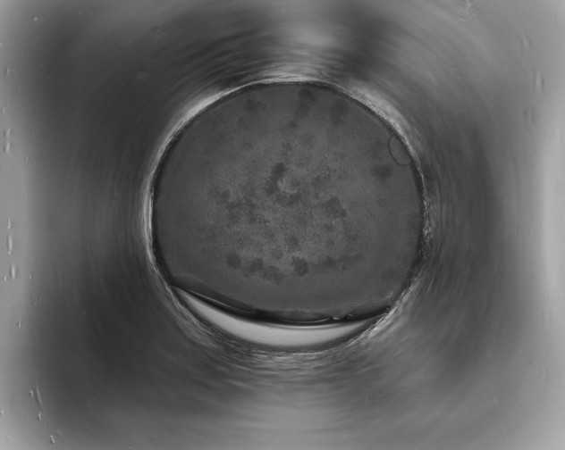 X0000093721179200710161053