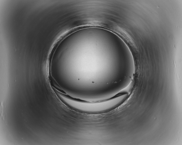 X0000093721180200710161053