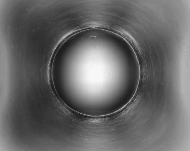 X0000093721182200710161053