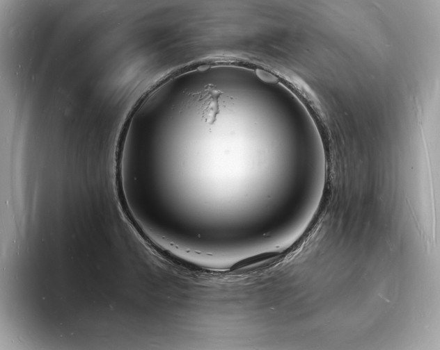 X0000093721183200710161053