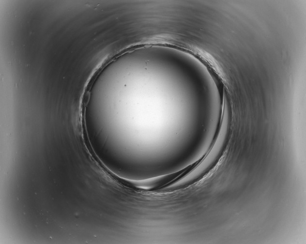 X0000093721184200710161053