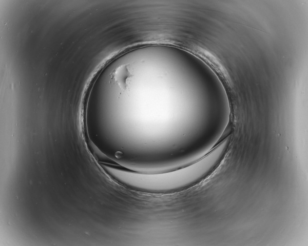 X0000093721188200710161053