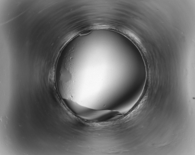 X0000093721193200710161053