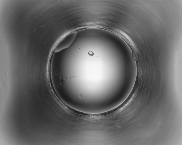 X0000093721196200710161053