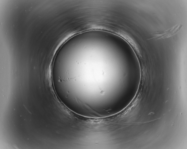 X0000093721198200710161053