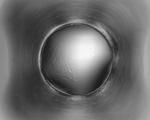 X0000093721199200710161053