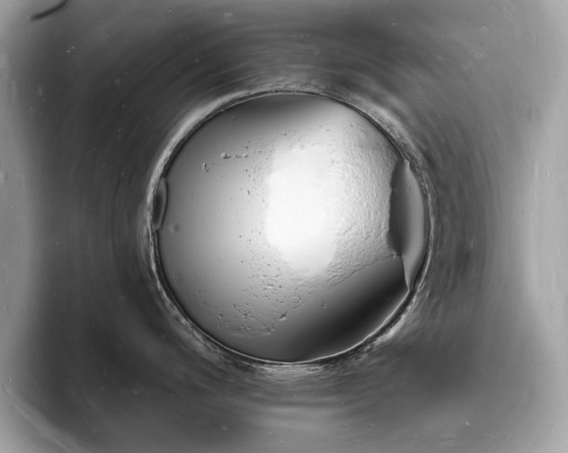 X0000093721200200710161053