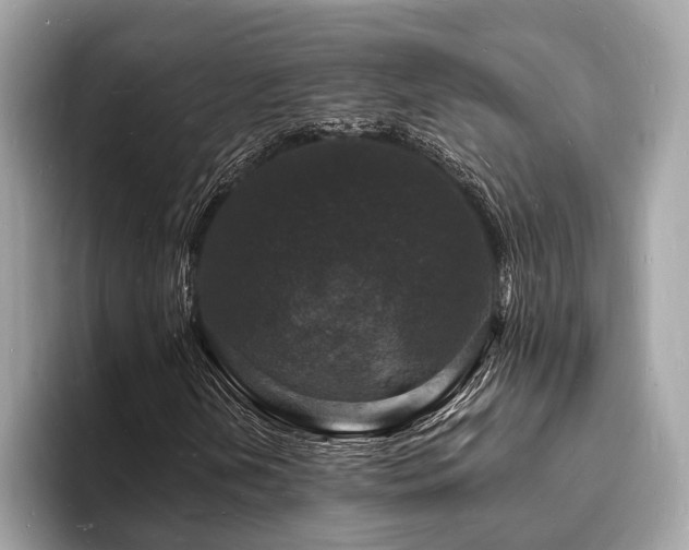 X0000093721202200710161052
