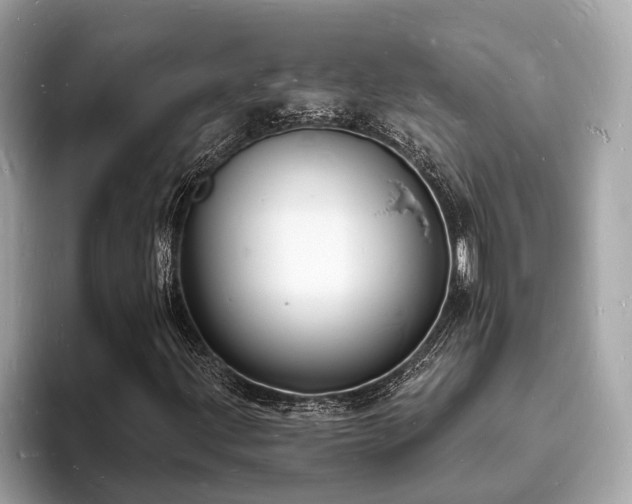 X0000093721203200710161052
