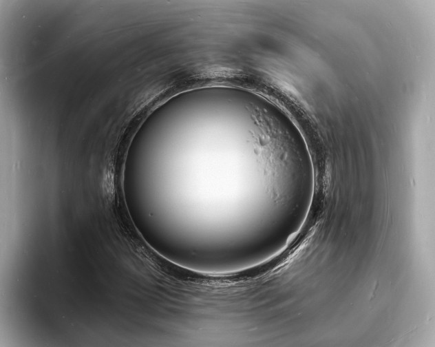 X0000093721209200710161052