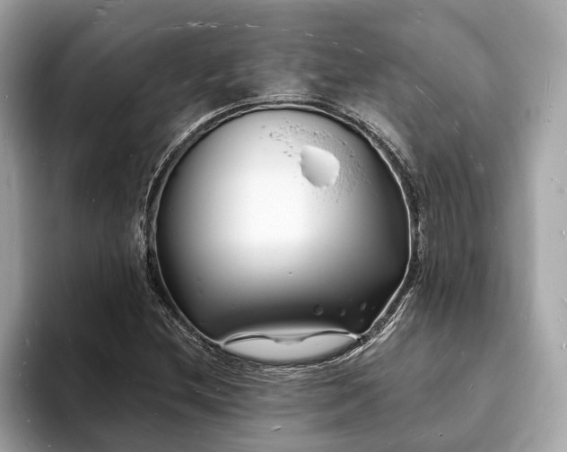 X0000093721212200710161052