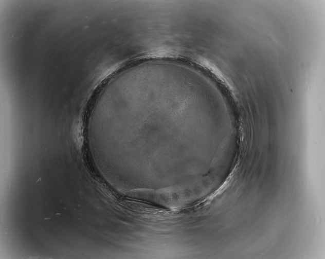 X0000093721213200710161052
