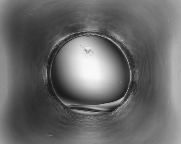 X0000093721214200710161052