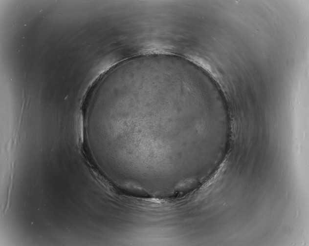 X0000093721219200710161052