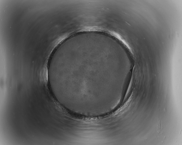 X0000093721221200710161052