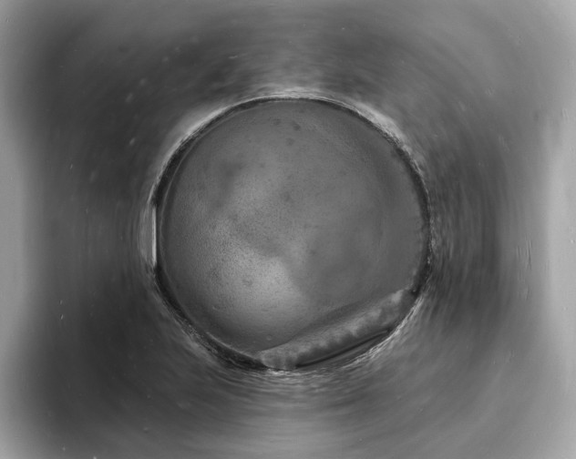 X0000093721223200710161052