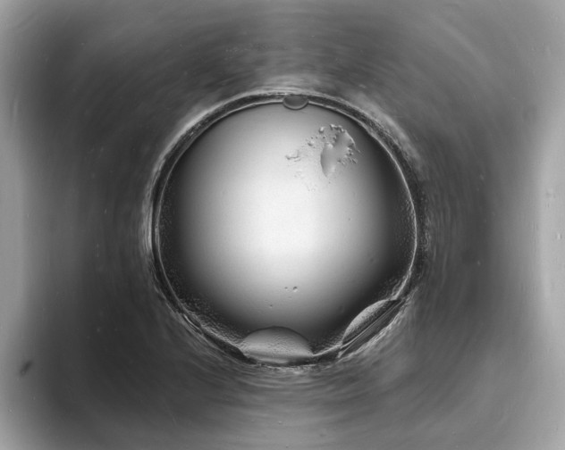 X0000093721224200710161052