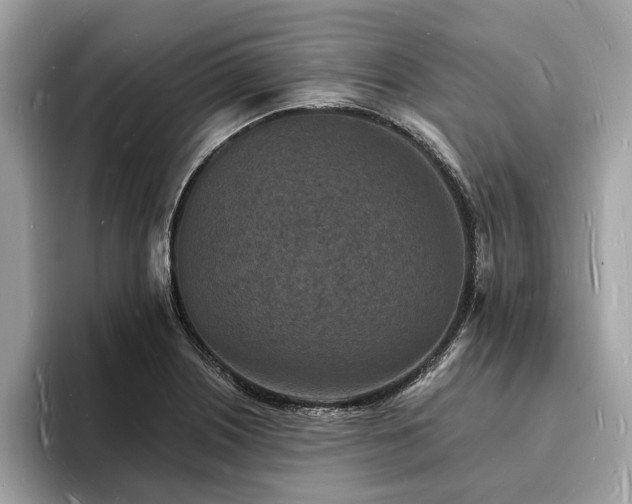 X0000093721226200710161052